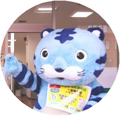 チンタイガー