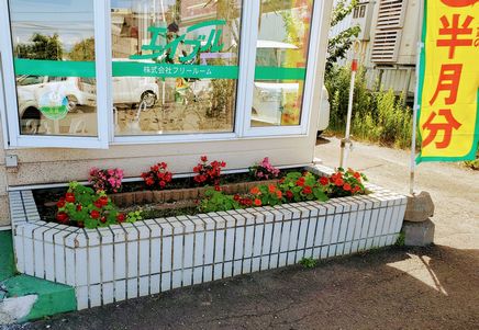 エイブル清田店の最新の花壇の進捗です！！