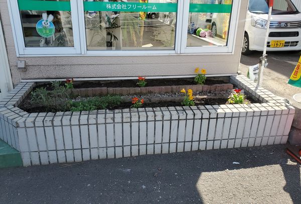 エイブル清田店の花